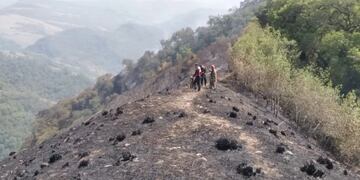 En los últimos días los incendios forestales en la zona de las yungas, en Jujuy, han consumido casi un millar de hectáreas.