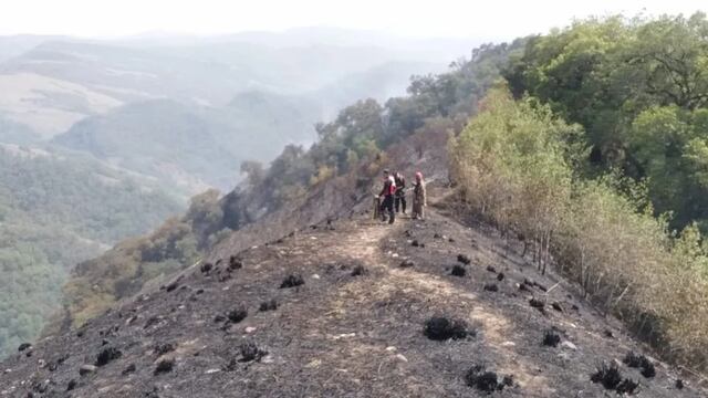 En los últimos días los incendios forestales en la zona de las yungas, en Jujuy, han consumido casi un millar de hectáreas.