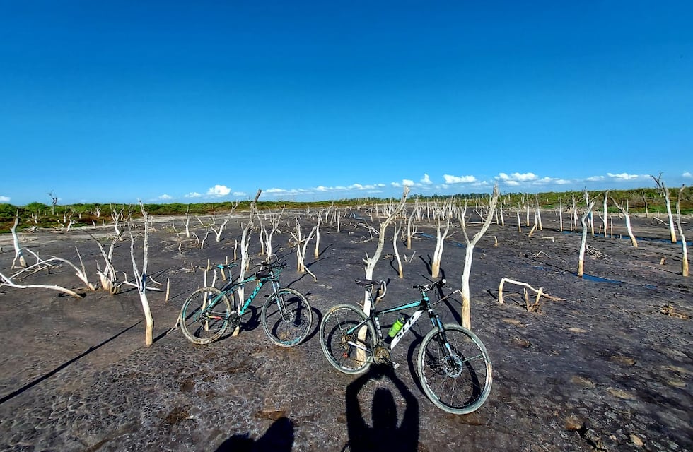 Conociendo Ansenuza: paseo en bicicleta por Arroyo Merlo