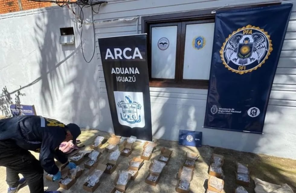 Secuestran en Wanda más de 200 ampollas de fentanilo valuadas en $400 millones