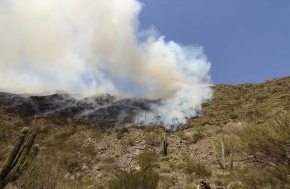 El viento lo empeoró: el fuego en Villa Fértil sigue avanzando y ya son 20 las hectáreas las afectadas