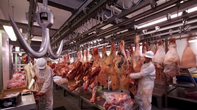 Frigorífico - carne