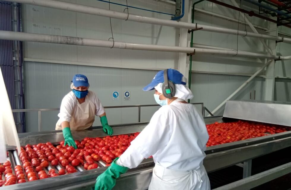 La pulpera comenzó con la elaboración de pasta de tomate