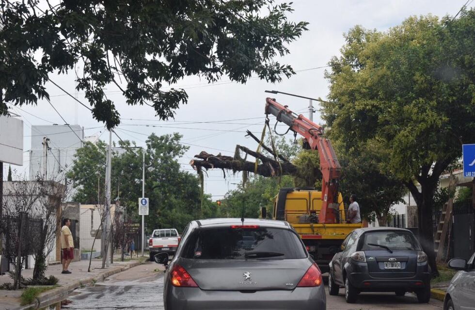 Siguen los problemas con la luz en San Lorenzo a casi tres días de la tormenta