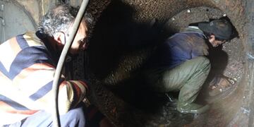 Ya se elevó el porcentaje de producción al 60% según el director del IMAS.