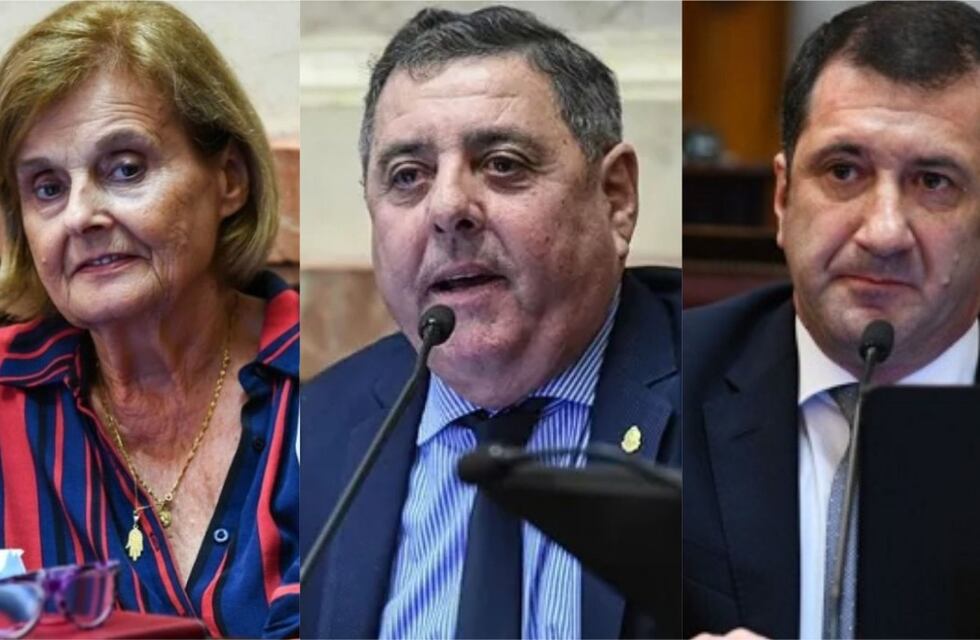 ¿Cómo votaron los senadores y senadora entrerriana en el debate por la legalización del aborto?