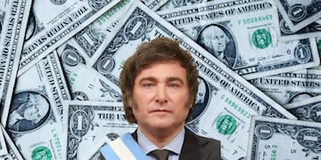 Dólares y Javier Milei.