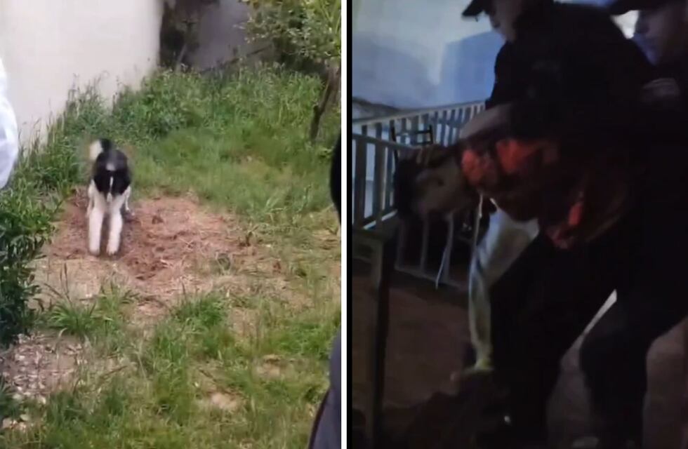 Mató a su jefe y se quedó con sus bienes: lo enterró en el patio de la casa que le usurpó