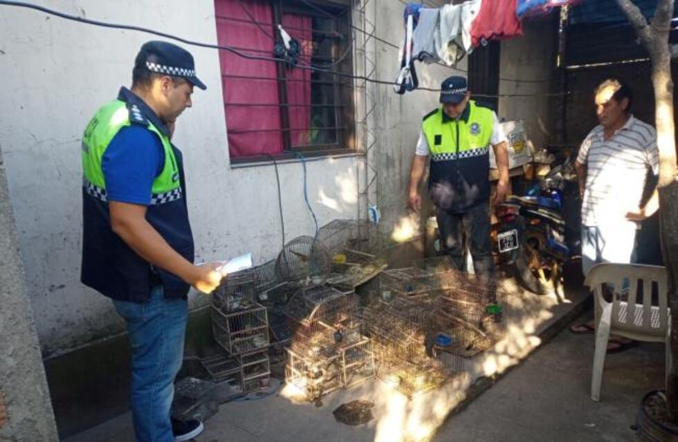 Tafí Viejo: encontraron 23 aves en cautiverio en una vivienda