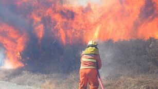 Para combatir incendios forestales, es responsabilidad de todos.