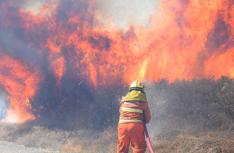 Aplicarán millonarias multas por provocar incendios en Mendoza o arrestos