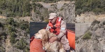 Un perro se cayó desde 35 metros de altura al lago Lácar y Prefectura lo rescató.