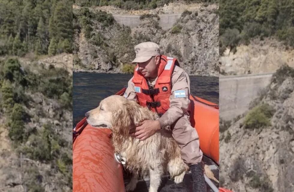 Un perro se cayó desde 35 metros de altura y nadó hacia la orilla del Lago Lácar