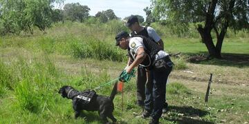 Agentes de la Sección Perros de la policía desde la Unidad Regional 1 de Santa Fe buscan a René Adolfo Cejas