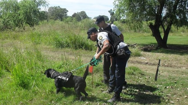 Agentes de la Sección Perros de la policía desde la Unidad Regional 1 de Santa Fe buscan a René Adolfo Cejas