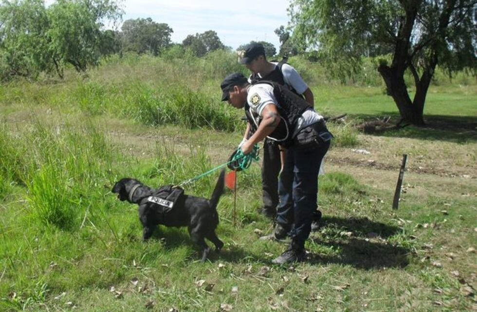 San Jorge: buscan hasta con perros a un hombre desaparecido desde hace 5 días