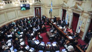 Cristina Fernández De Kirchner en el Senado de la nación durante una sesión .
Foto Federico Lopez Claro
