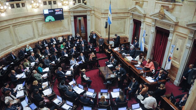 Cristina Fernández De Kirchner en el Senado de la nación durante una sesión .
Foto Federico Lopez Claro