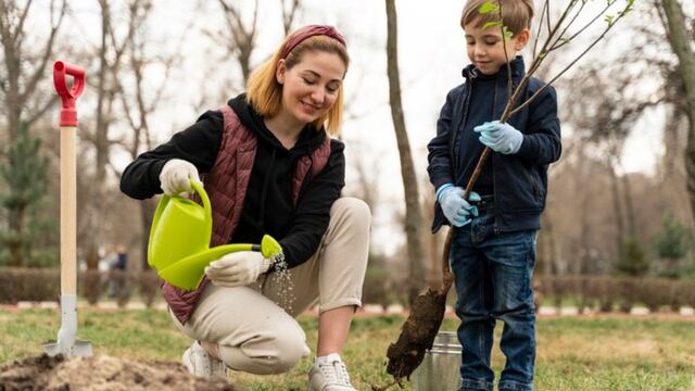 Clases de tejer, espadas y jardinería: así es un colegio de pedagogía Waldorf