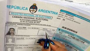 Elecciones generales en Mendoza (Orlando Pelichotti / Los Andes)