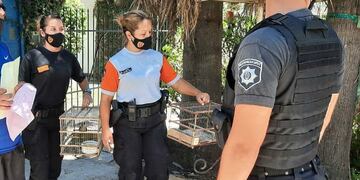 La Policía Comunitaria intervino junto a agentes de control del Ejecutivo local en Donado al 400. (@carolabayru)