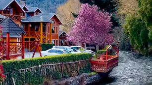 El increíble paisaje que sorprende a los turistas en la Patagonia.