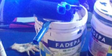 Investigan si los tachos de pintura falsa son nocivos para la salud.