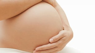 Gualeguaychú pone en marcha el programa Gestar Derechos