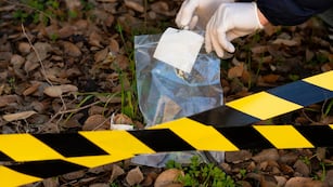 La mujer correntina asesinó a sus hijos e intentó suicidarse.
