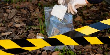 La mujer correntina asesinó a sus hijos e intentó suicidarse.