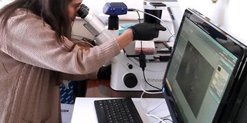 Estudio de agua potable.