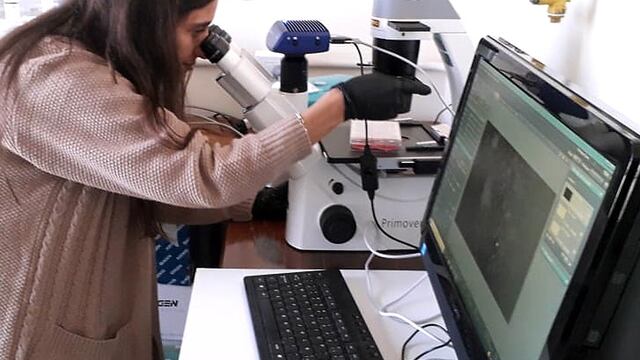 Estudio de agua potable.
