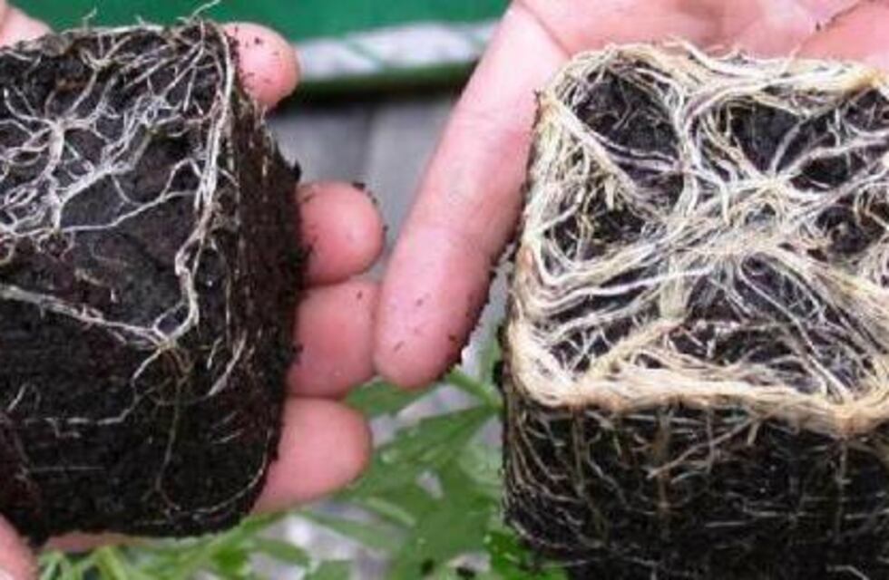 Otro tipo de fertilización y estimulación de las plantas