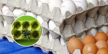 No tires los maples de huevo: cómo reciclar y transformar en un tesoro para el jardín de casa