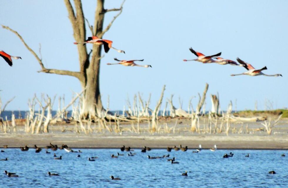 Clima en Ansenuza: cómo estará el tiempo este martes 22 de junio