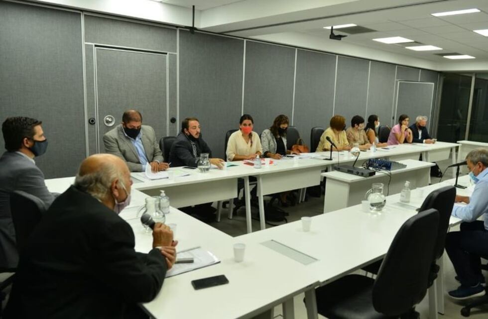 La Bicameral de seguimiento del Covid ya tiene agenda de trabajo