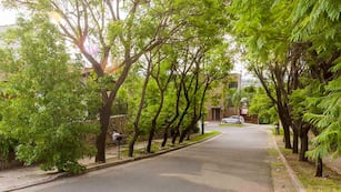 El vehículo fue grabado en la zona norte de la ciudad de Córdoba.