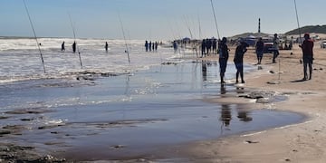 24 horas de la corvina negra