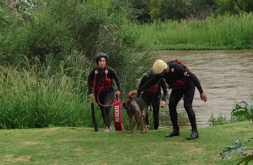 Arroyito: Bomberos Voluntarios salvaron a un perro atrapado en la costa del Río Xanaes
