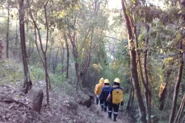 Incendios: trabajar para combatir el foco activo en la Reserva de Biosfera Yabotí