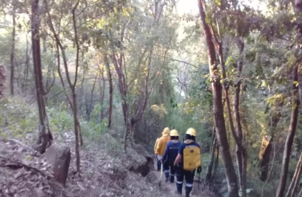 Incendios: trabajar para combatir el foco activo en la Reserva de Biosfera Yabotí