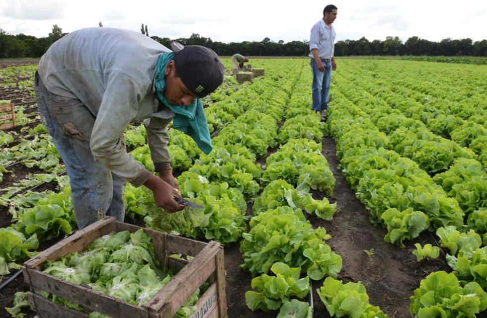 La Municipalidad de Las Heras reconocerá a productores agrícolas y ganaderos del departamento