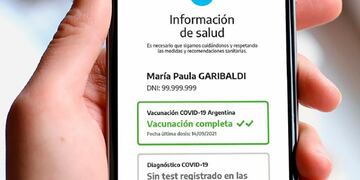 Pasaporte
Pase sanitario a través de la aplicación Cuidar
(Presidencia)