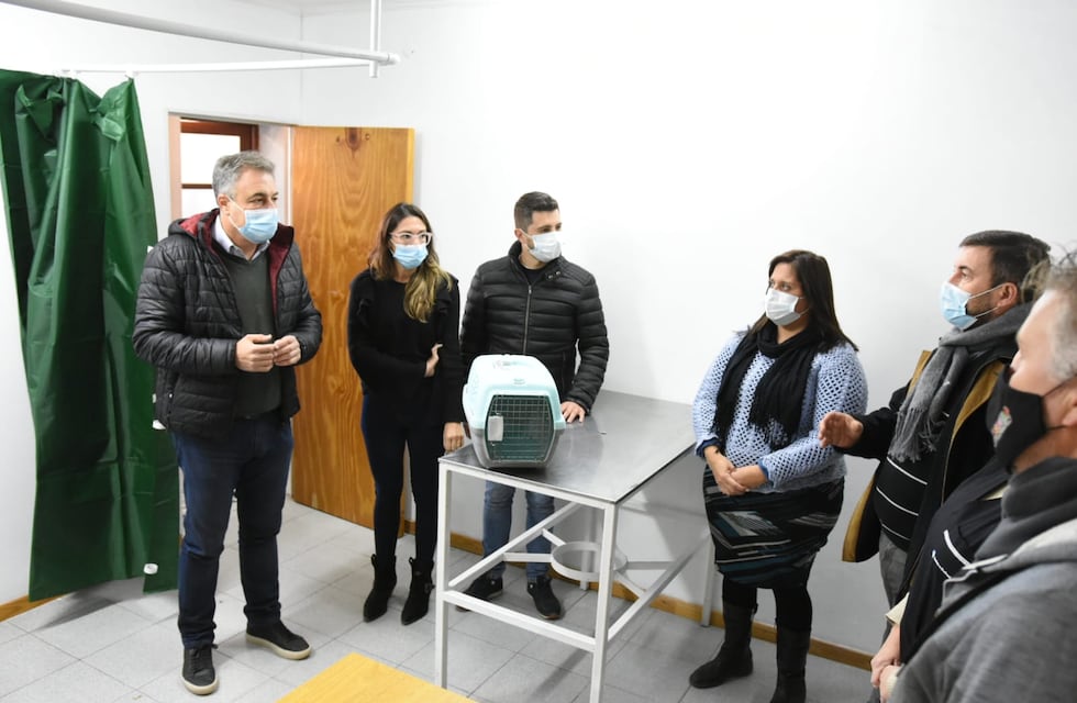 Rafaela cuenta con un Centro de Atención Primaria para perros y gatos