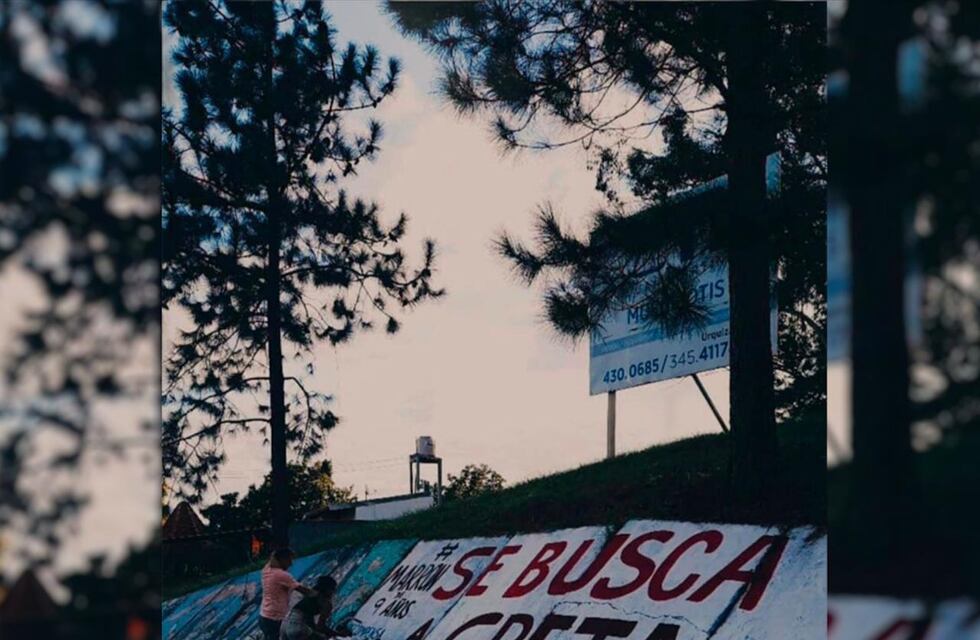 Pintó un mural para encontrar a su perra