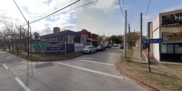 El tremendo animal fue visto en la concurrida avenida.