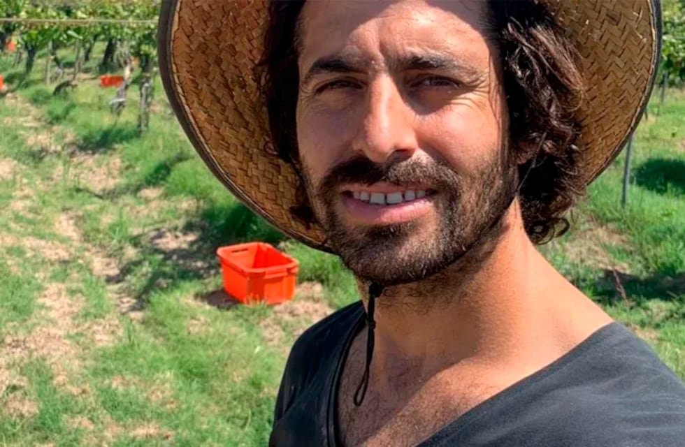 La desazón de un viñatero que perdió casi el 90% de su producción por las heladas tardías en el Este mendocino