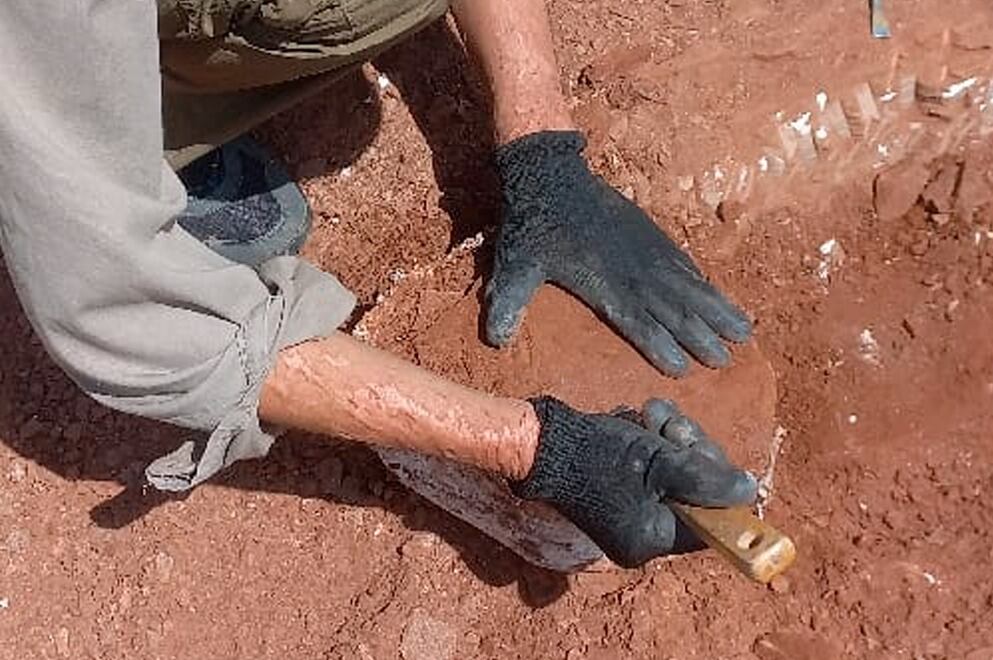 Hallazgo histórico en Córdoba.