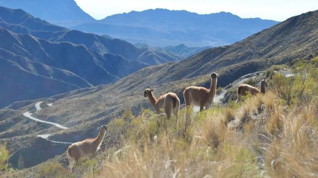 La Ruta 52 que une Villavicencio con Uspallata. Circuito en una de las zonas de mayor belleza paisajística de Mendoza.