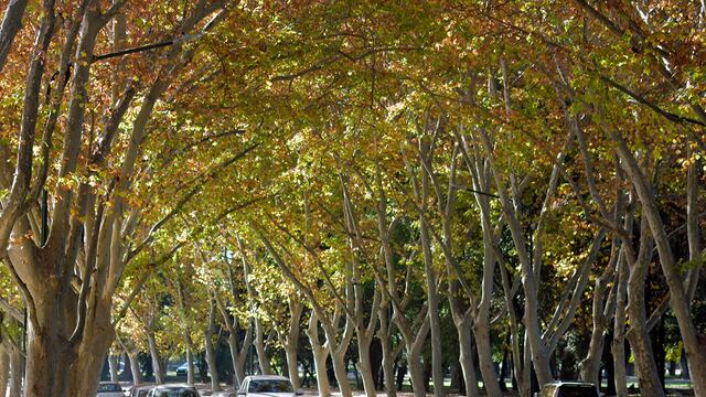 Parque General San Martín
Foto: Orlando Pelichotti